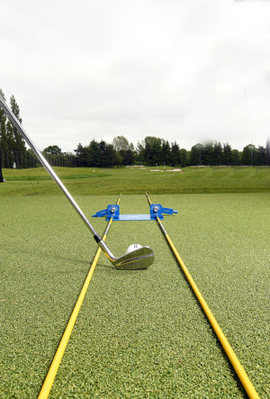 Swing Plate Dual Pro